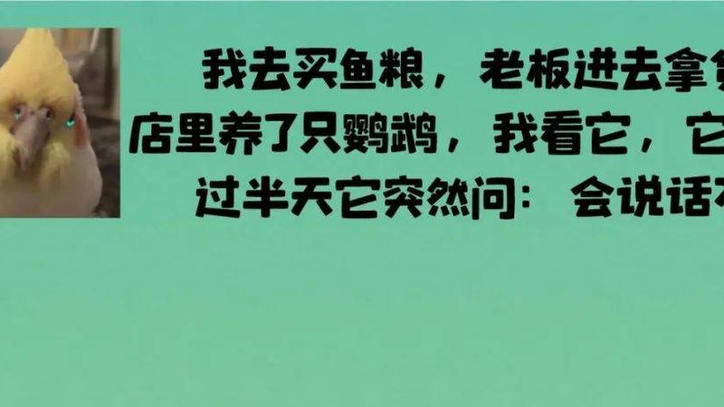 食品批发代理：货源、价格、对比的深层解析