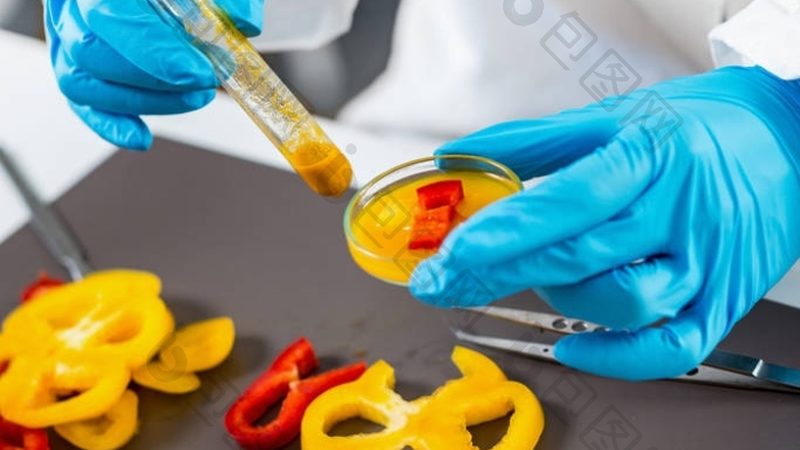 休闲食品供应链：揭秘其背后的运作逻辑与关键要素